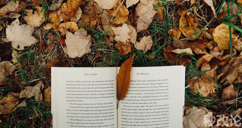 秒改论降AIGC，秒改论ai降重软件，秒改论智能降重